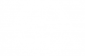 The-Physio-Works-White-Transparent
